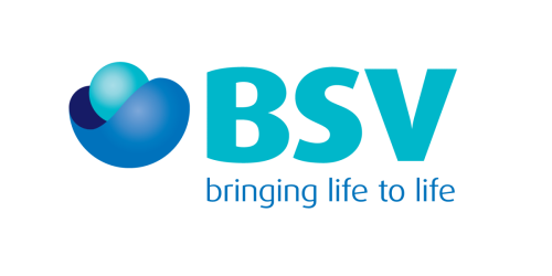 BSV Group